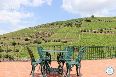Quinta Do Monte Bravo - Douro - Quarto Duplo Villa Ervedosa do Douro Exterior foto